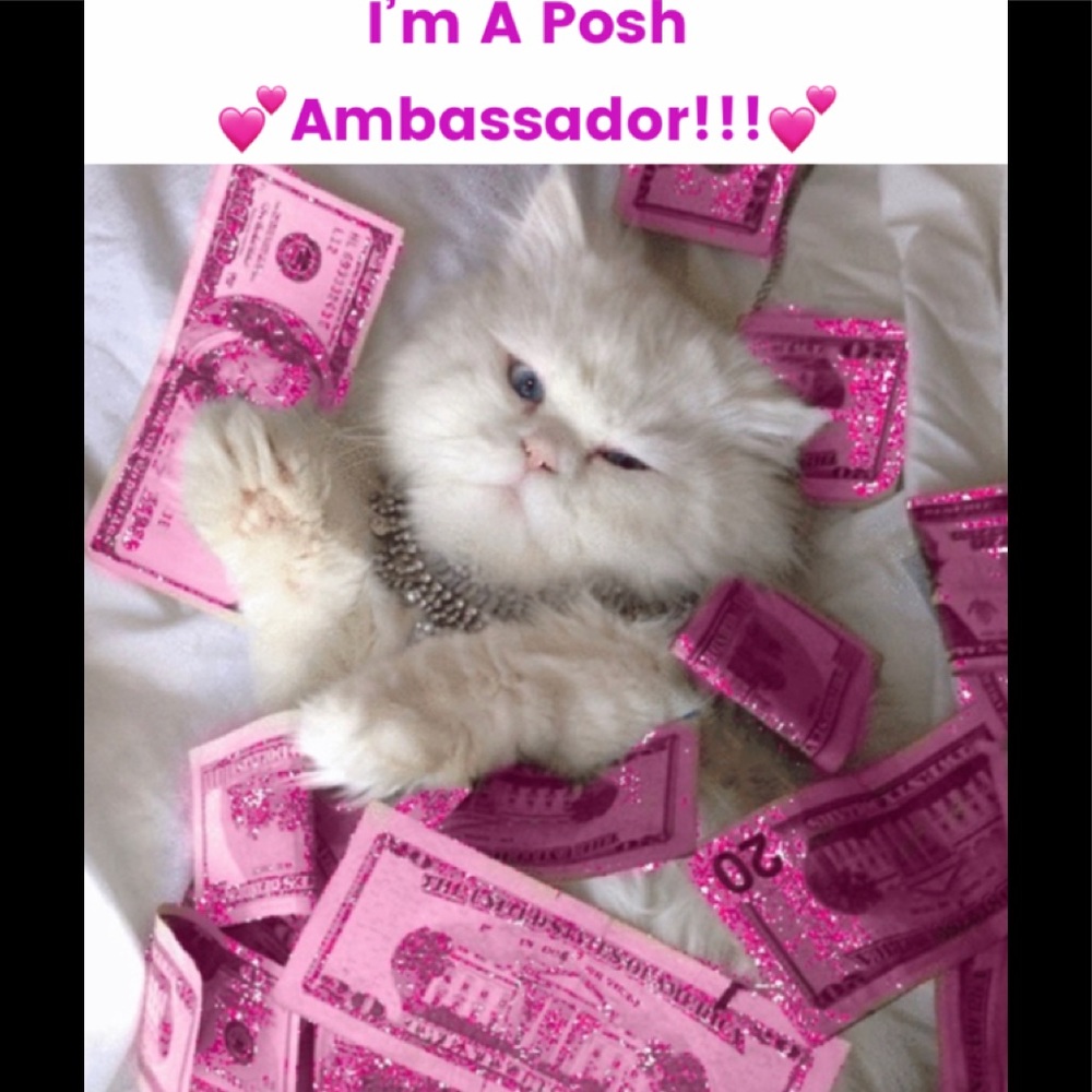 Celebrating Being A Posh Ambassador!!!